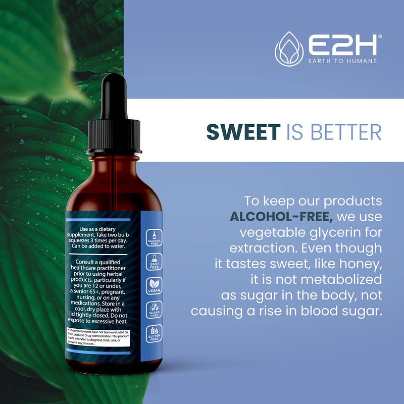 E2H Black Currant Extract - Cold-Pressed Seed, Immune Support (3 Bottles)
