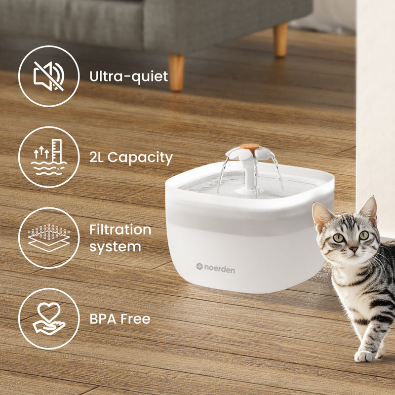 PawQuench (Quiet Water Fountain)