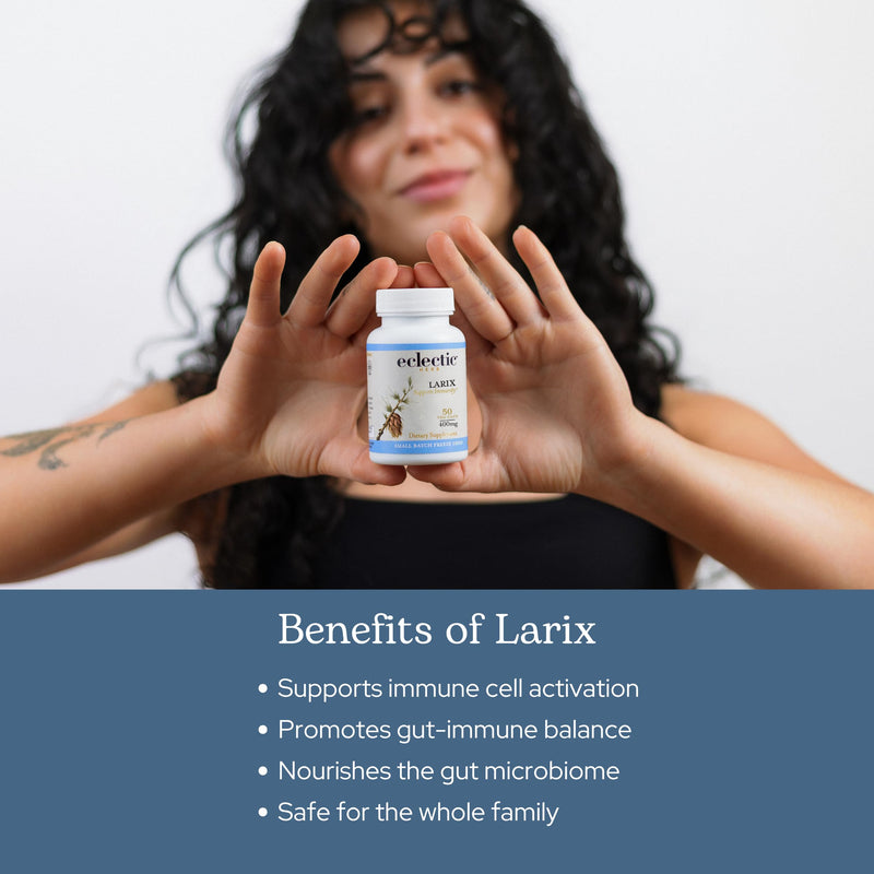 Eclectic Institute Raw Freeze-Dried Larix Capsules – Immune, Respiratory & Ear Support | 100 CT (400 mg)
