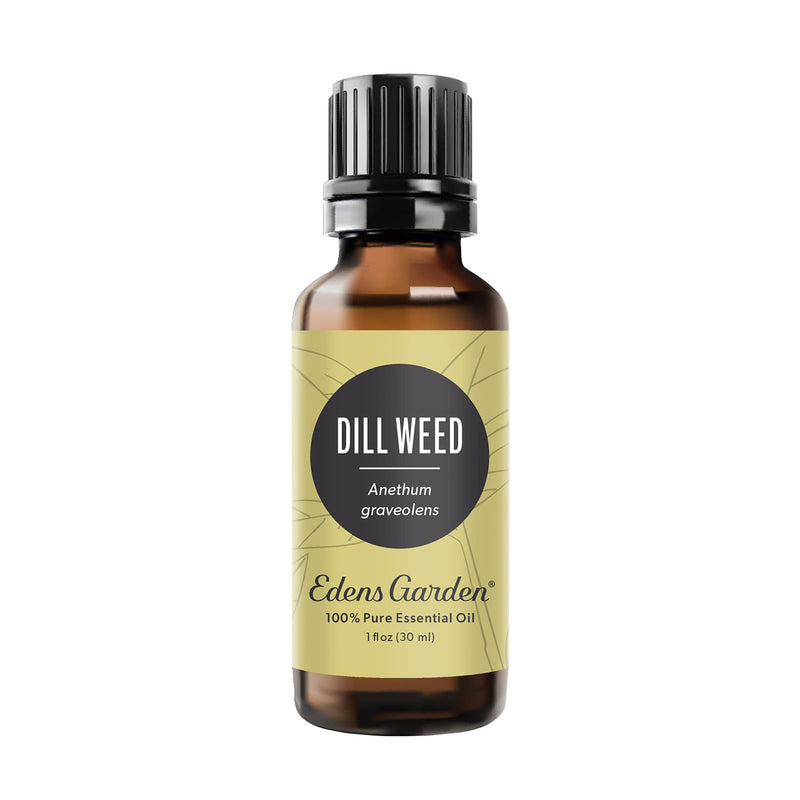 Edens Garden Dill Weed Essential Oil - 100% Pure, Premium Grade, 30 ml