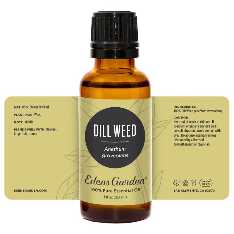 Edens Garden Dill Weed Essential Oil - 100% Pure, Premium Grade, 30 ml