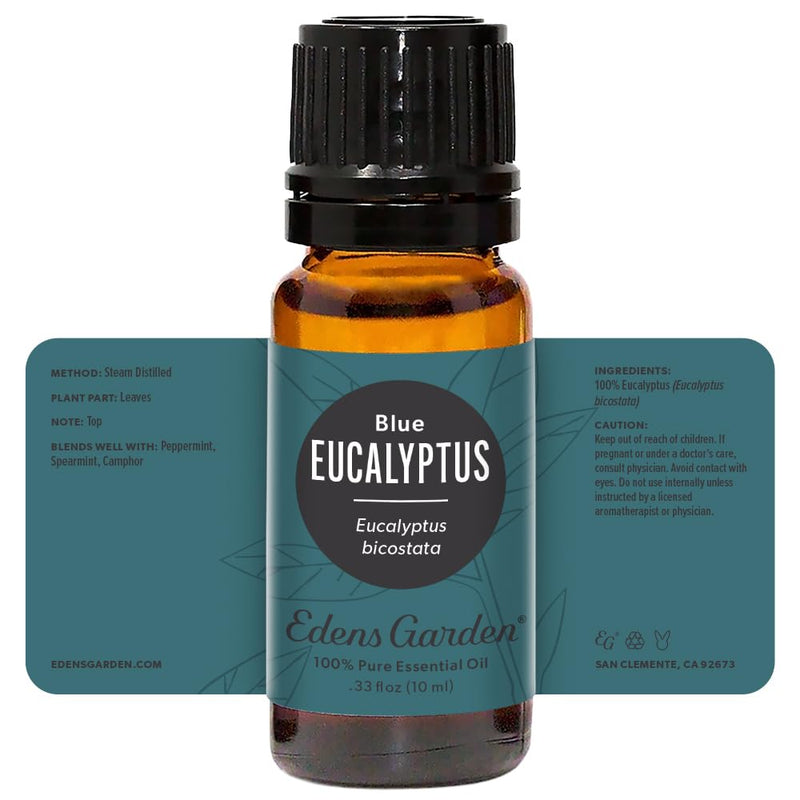Edens Garden Eucalyptus-Blue Essential Oil - 100% Pure Premium Grade, 10 ml