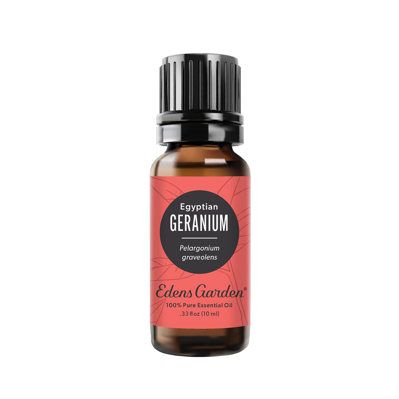 Edens Garden Geranium Egyptian Essential Oil – 100% Pure, Premium Grade, 10 ml