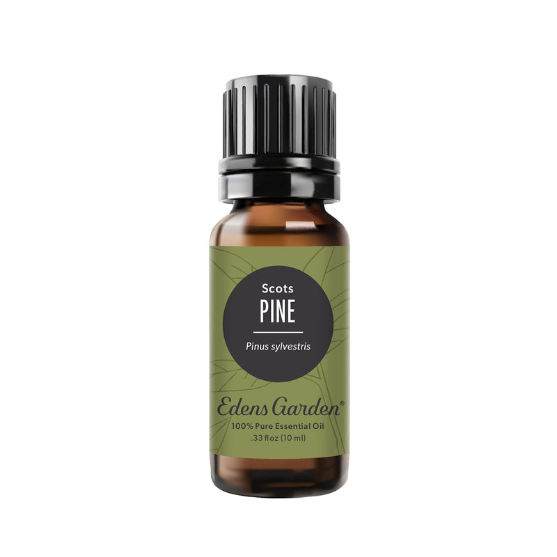 Edens Garden Pine-Scots Essential Oil – 100% Pure, Premium 10 ml
