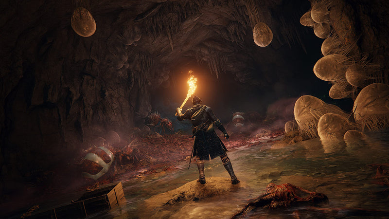 Elden Ring PS5