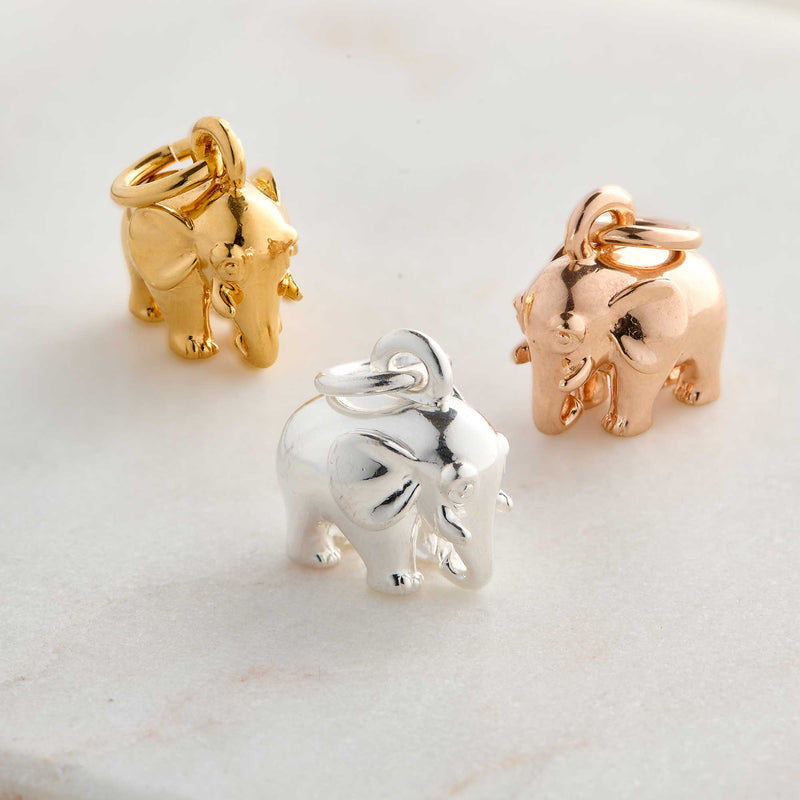 Elephant Silver Charm