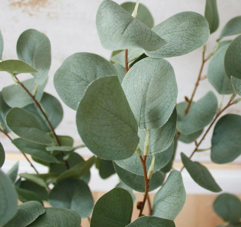 Premium Artificial Eucalyptus Tree 85cm