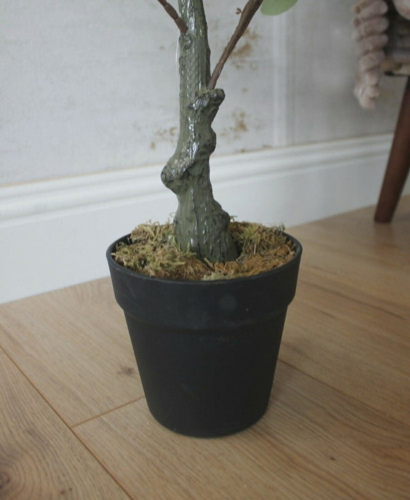 Premium Artificial Eucalyptus Tree 85cm