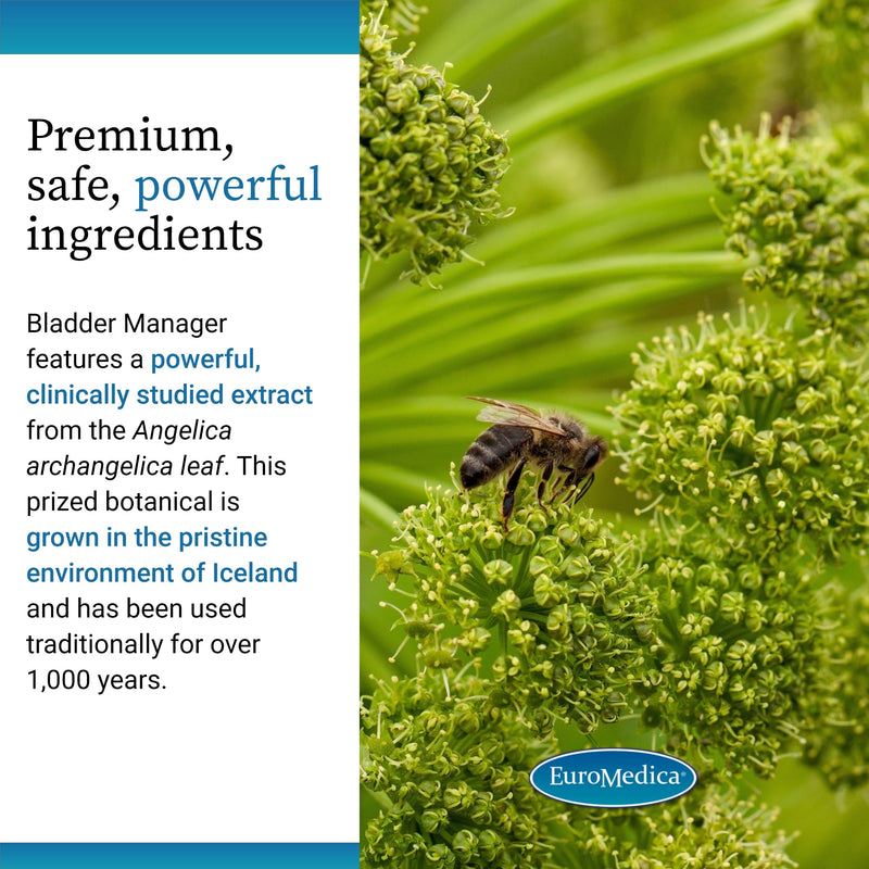 EuroMedica Bladder Manager - Bladder Health Supplement with Angelica Leaf Extract | Vegan Capsules (30)