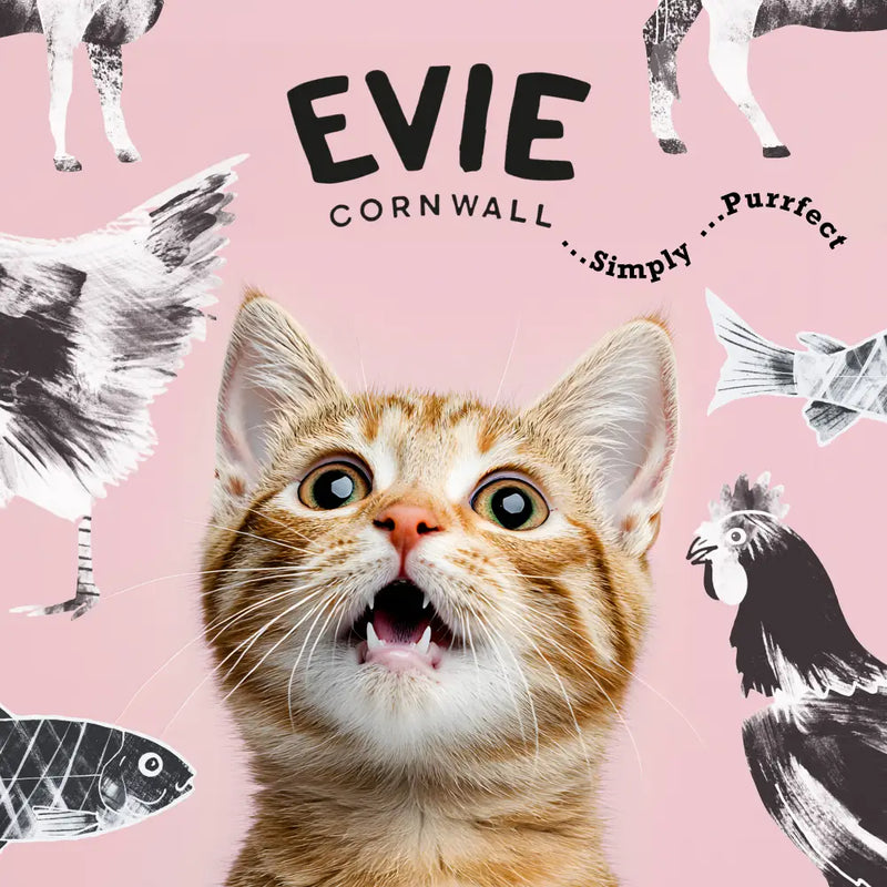 Evie Natural Dry Cat Food Duck with Sardines Weight Control