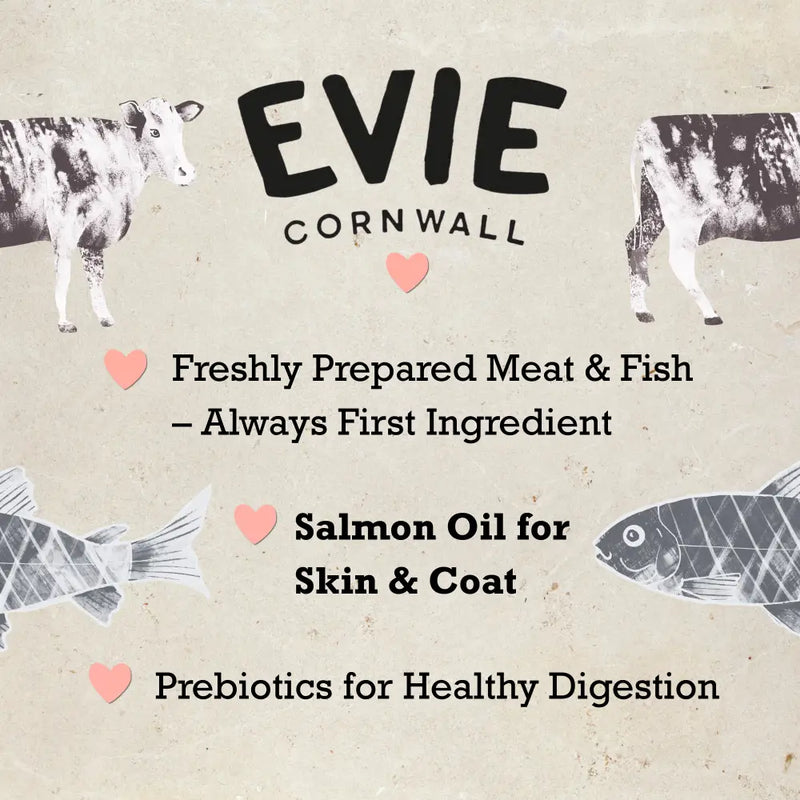 Evie Natural Dry Cat Food Salmon with Whitefish