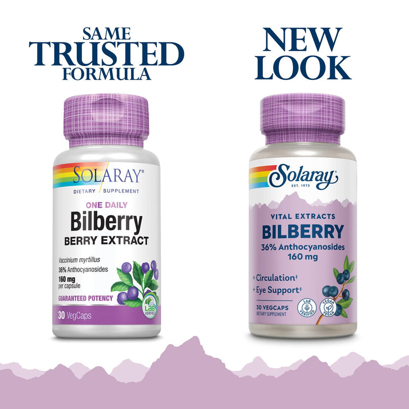 SOLARAY Bilberry Extract 160 mg – Eye Health & Circulation Support | 36% Anthocyanosides | Vegan