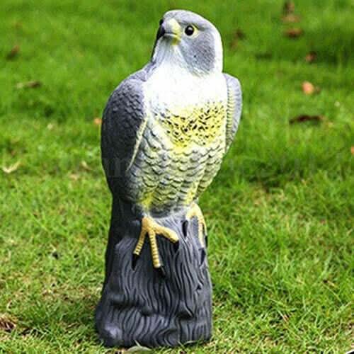 Multicoloured Realistic Falcon Bird Deterrent Garden Ornament