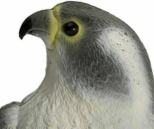 Multicoloured Realistic Falcon Bird Deterrent Garden Ornament
