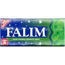 Falim Nane Mint Flavour Sugar Free Chewing Gum Single