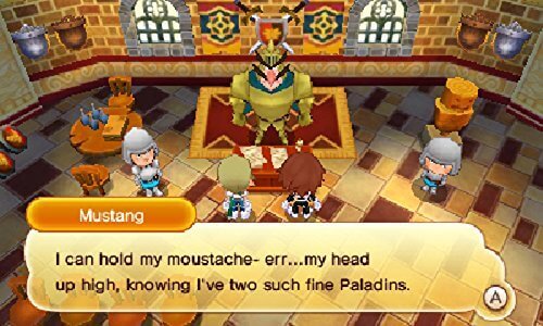 Fantasy Life Nintendo 3DS