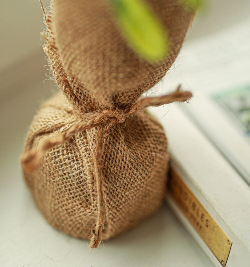 Artificial Mistletoe and Eucalyptus Christmas Tree in Jute Bag