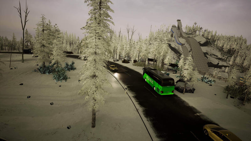 Fernbus Coach Simulator PS5