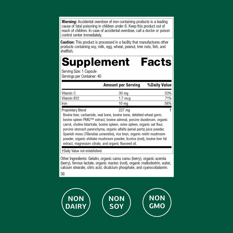 Ferrofood Iron Supplement – Supports Normal Blood Production (40 Capsules)
