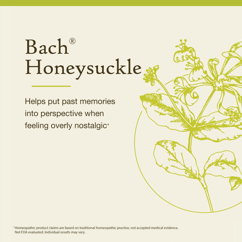 Bach Honeysuckle – Embrace The Now | Flower Remedy for Emotional Balance, 20mL