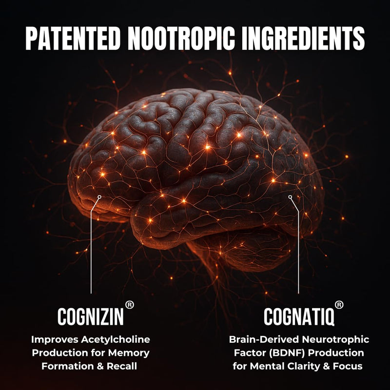 FOCUS by HUMBLEROOTS PERFORMANCE – Advanced Nootropic Brain Support (Lion’s Mane, Caffeine, L-Theanine) 90 Capsules