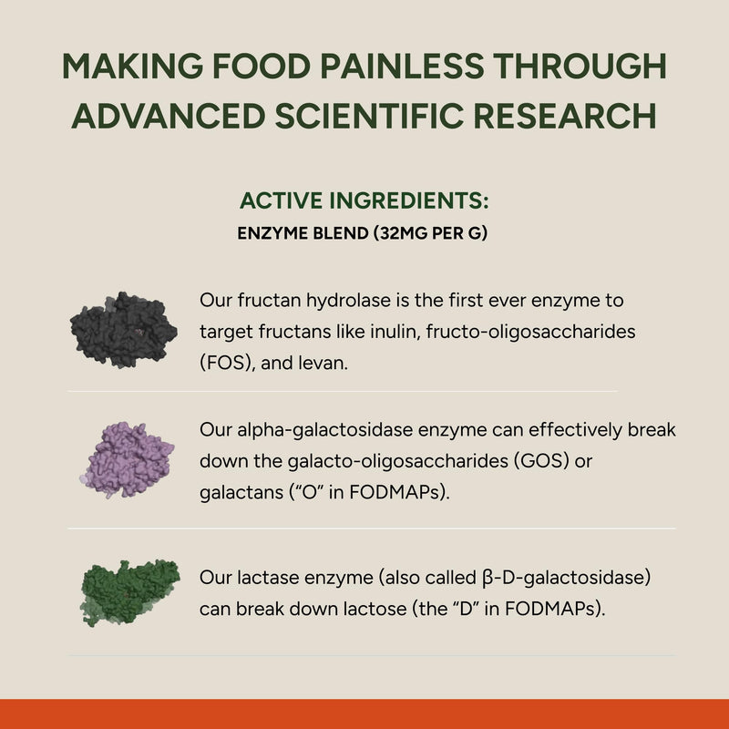 FODZYME On-The-Go Digestive Enzymes for Gut Health | Low FODMAP Support 30 Dose