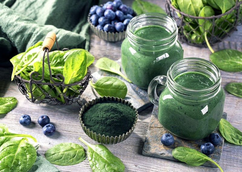Food to Live Chlorella Powder 4 lbs – Kosher, Raw Vegan Superfood