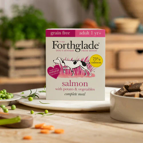 Salmon – 395g
