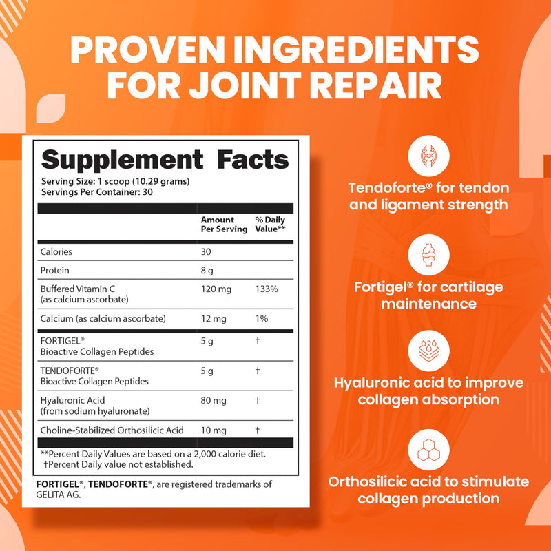 SaltWrap Collagen Synthesis - Joint Support with Fortigel & Tendoforte, NSF Certified for Sport