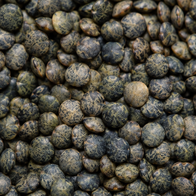 Infinity Foods Bulk Organic French Type Lentils