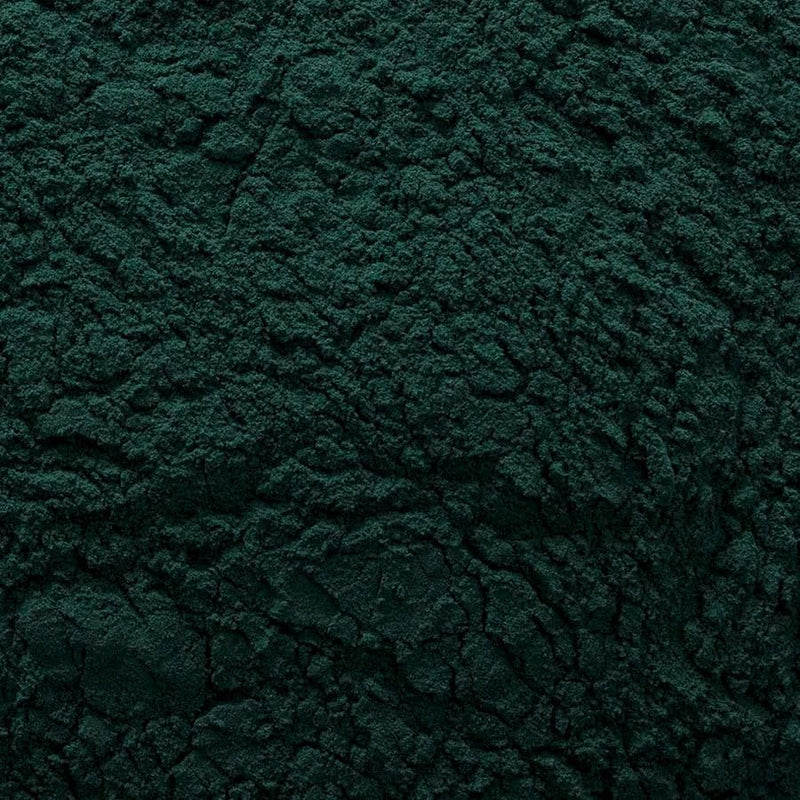 Frontier Co-op Spirulina Powder, Kosher, Non-Irradiated | 1 lb Bulk Bag | Spirulina platensis Geitler