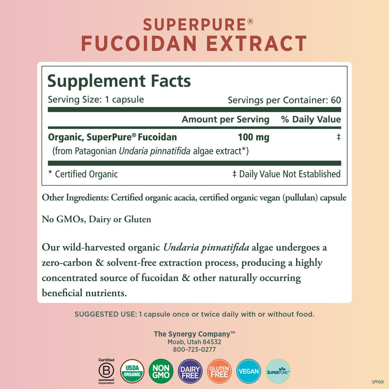 PURE SYNERGY SuperPure Fucoidan Extract | Organic Brown Seaweed | Immune Support, Digestion & Healthy Aging (60 Capsules)