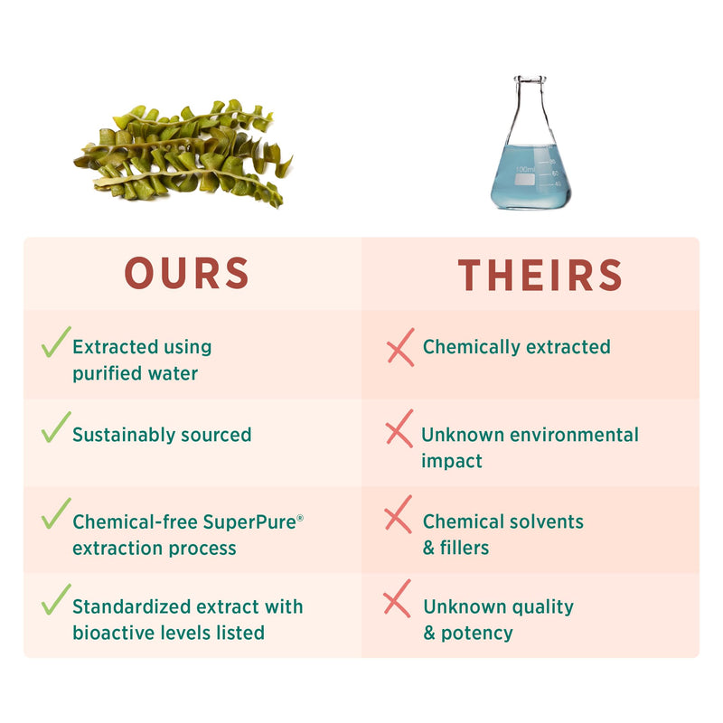 PURE SYNERGY SuperPure Fucoidan Extract | Organic Brown Seaweed | Immune Support, Digestion & Healthy Aging (60 Capsules)
