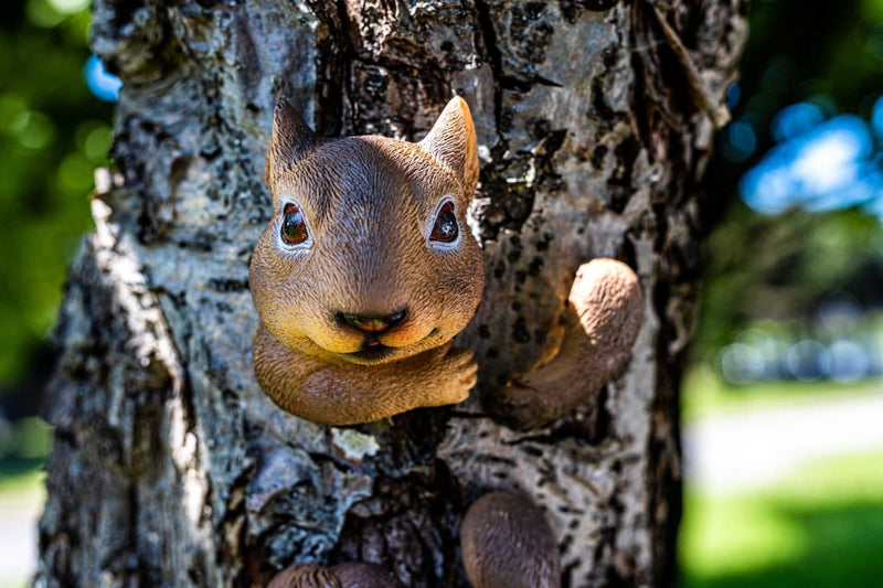 Resin Tree Hugging Squirrel Peeking Garden Ornament