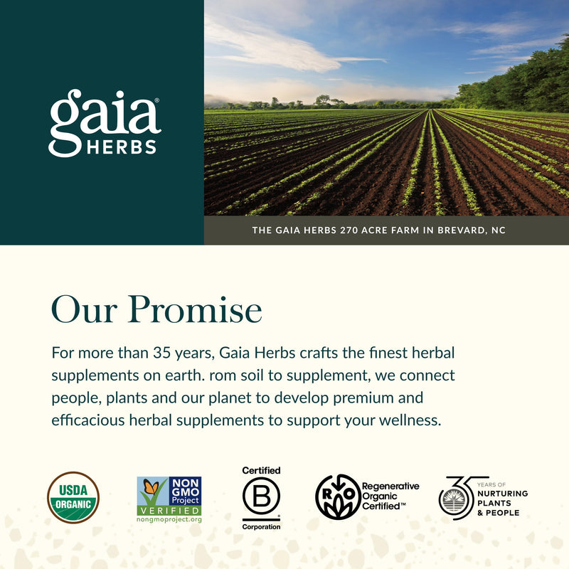 Gaia Herbs Organic Ashwagandha Gummies - Stress Support* | Cinnamon & Ginger - Gluten Free & Vegan - 45 Count