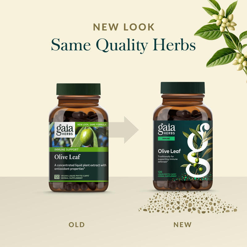 Gaia Herbs Olive Leaf - Traditional Immune Support with Oleuropein | 120 Vegan Liquid Phyto-Caps