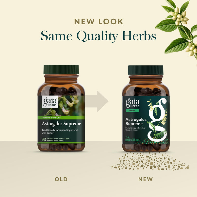 Gaia Herbs Astragalus Supreme – Immune & Antioxidant Support | 120 Vegan Liquid Phyto-Caps (60 Servings)