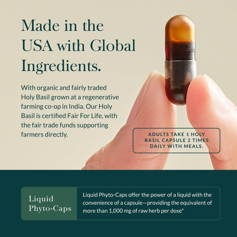 Gaia Herbs Holy Basil Leaf | Adaptogenic Ayurvedic Stress Support | 120 Vegan Liquid Phyto-Caps (60 Servings)