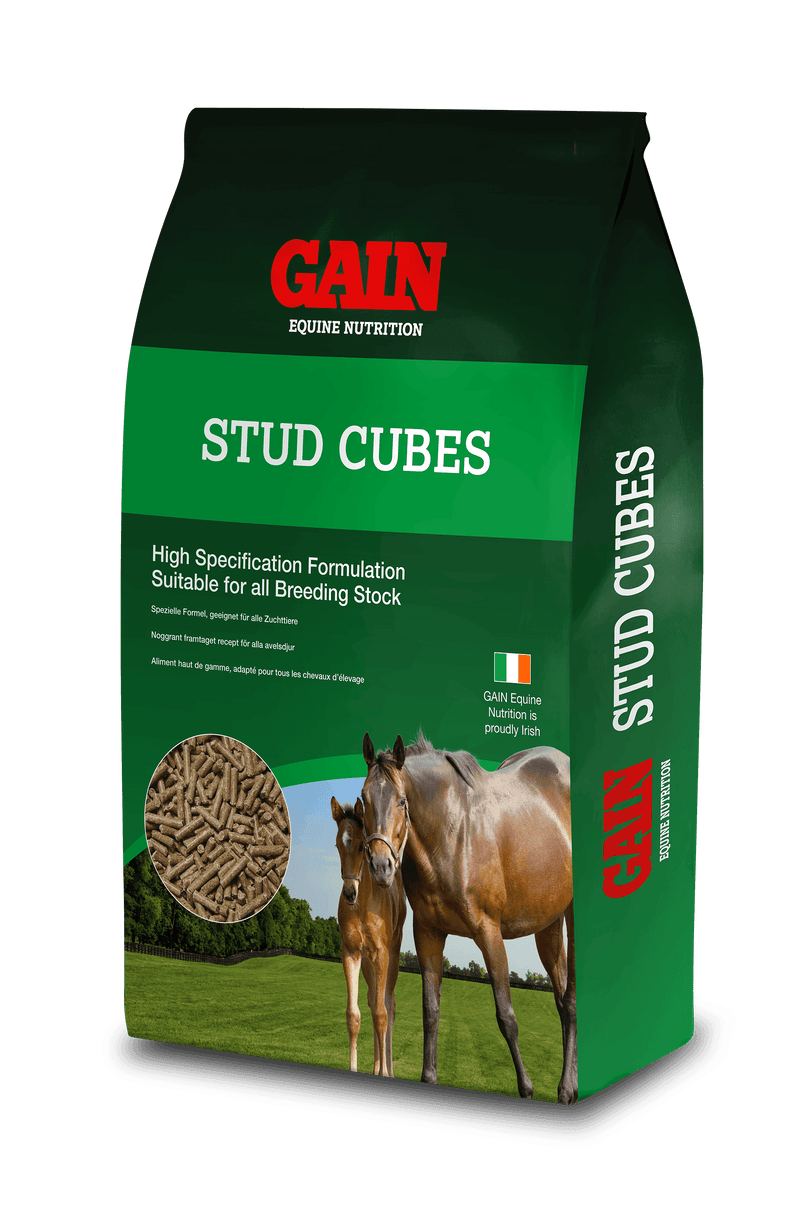 Gain Stud Cubes