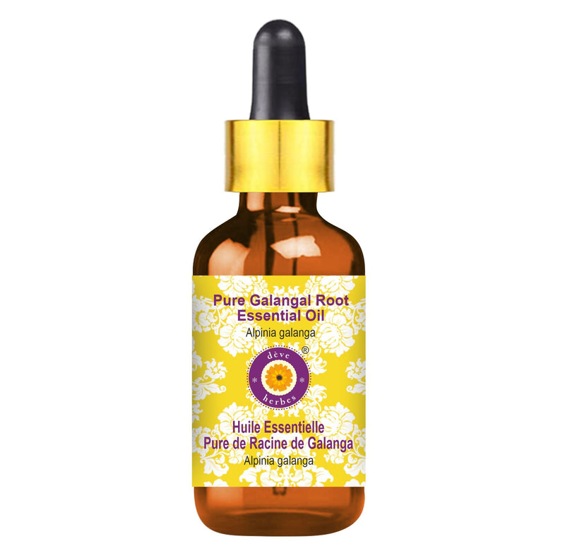 dève herbes Galangal Root Essential Oil (Alpinia galanga) 50ml with Glass Dropper – Pure, Non-Sticky & Lightweight