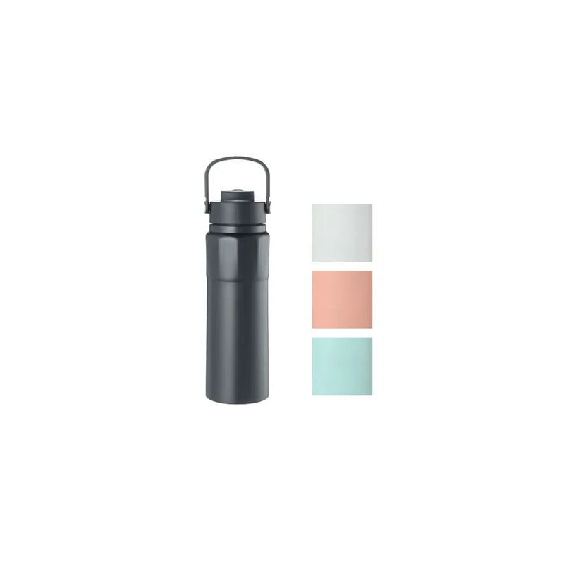 Stainless Steel Water Drinking Travel Thermos Flask Tumbler With Handle 750Ml Assorted Colours