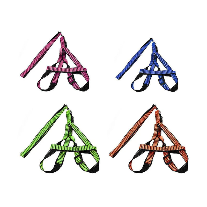 Pet Dog Leash With Harkness Assorted Colours