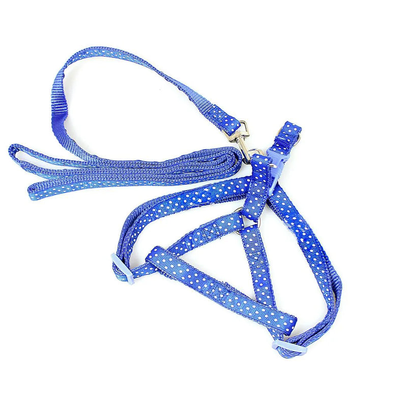 Pet Dog Leash Lead With Harness Assorted Colours