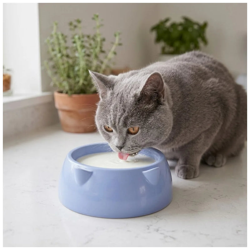 Cat Bowl Assorted Colours 113G