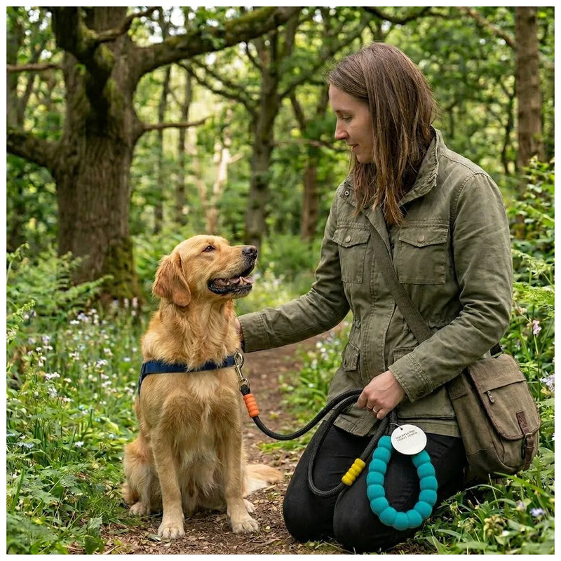 Dog Lead Long, Width, Depth – 175G Durable Pet Leash