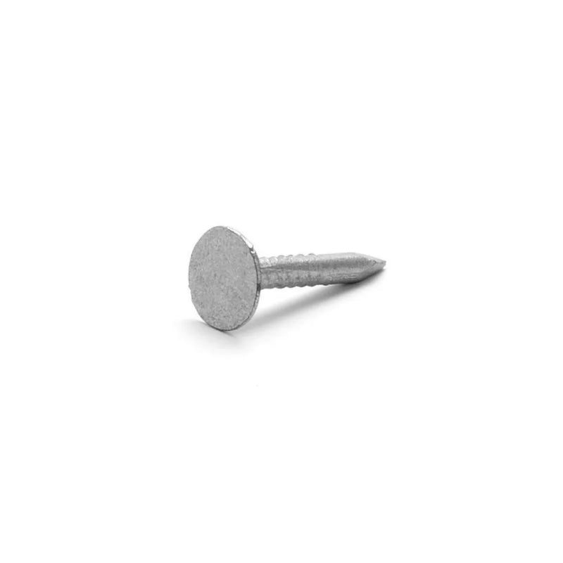 Galvanised Felt Nails x tra Value Diy