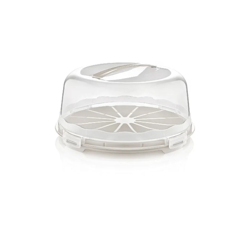 Plastic Cake Pastry Carry Storage Bo x With Cover Assorted Colours