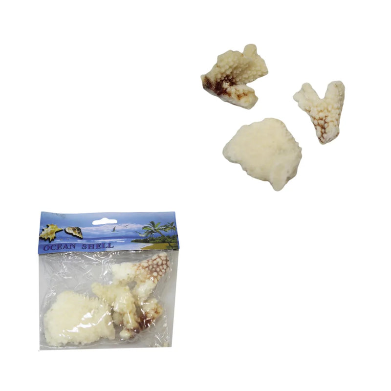 Natural White Stone Seashells Beach Shells Aquarium Decor 4 – Pack Of 3