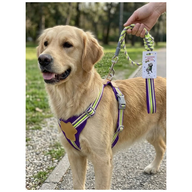 Dog Leash Length, Width, Thickness, 193G