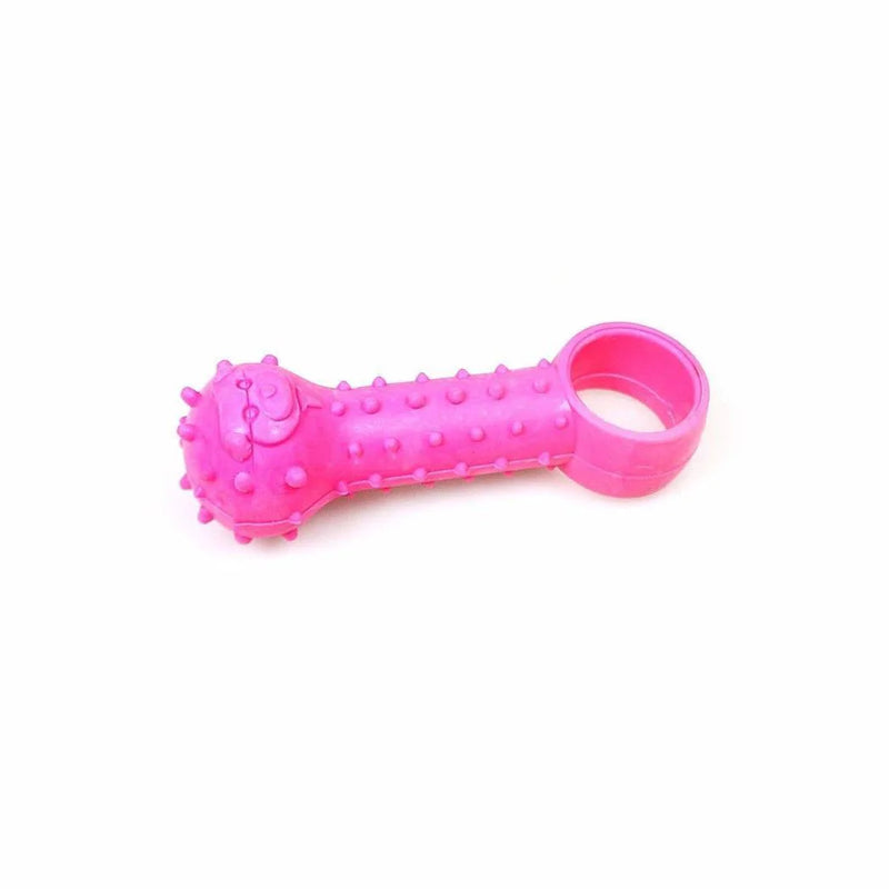 Pet Dog Toy Ball And Ring Shaped Bone Assorted Colours